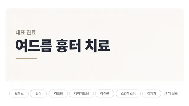 같은 병원 화면이 여드름 흉터 치료를 대표 진료로 크게 내세우고, 보톡스·필러·리프팅 등 나머지 진료는 아래 작은 칩으로 물러난 화면